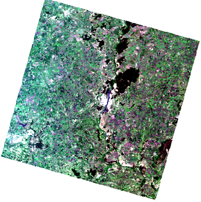 Космические снимки Landsat 8 Воронежской области