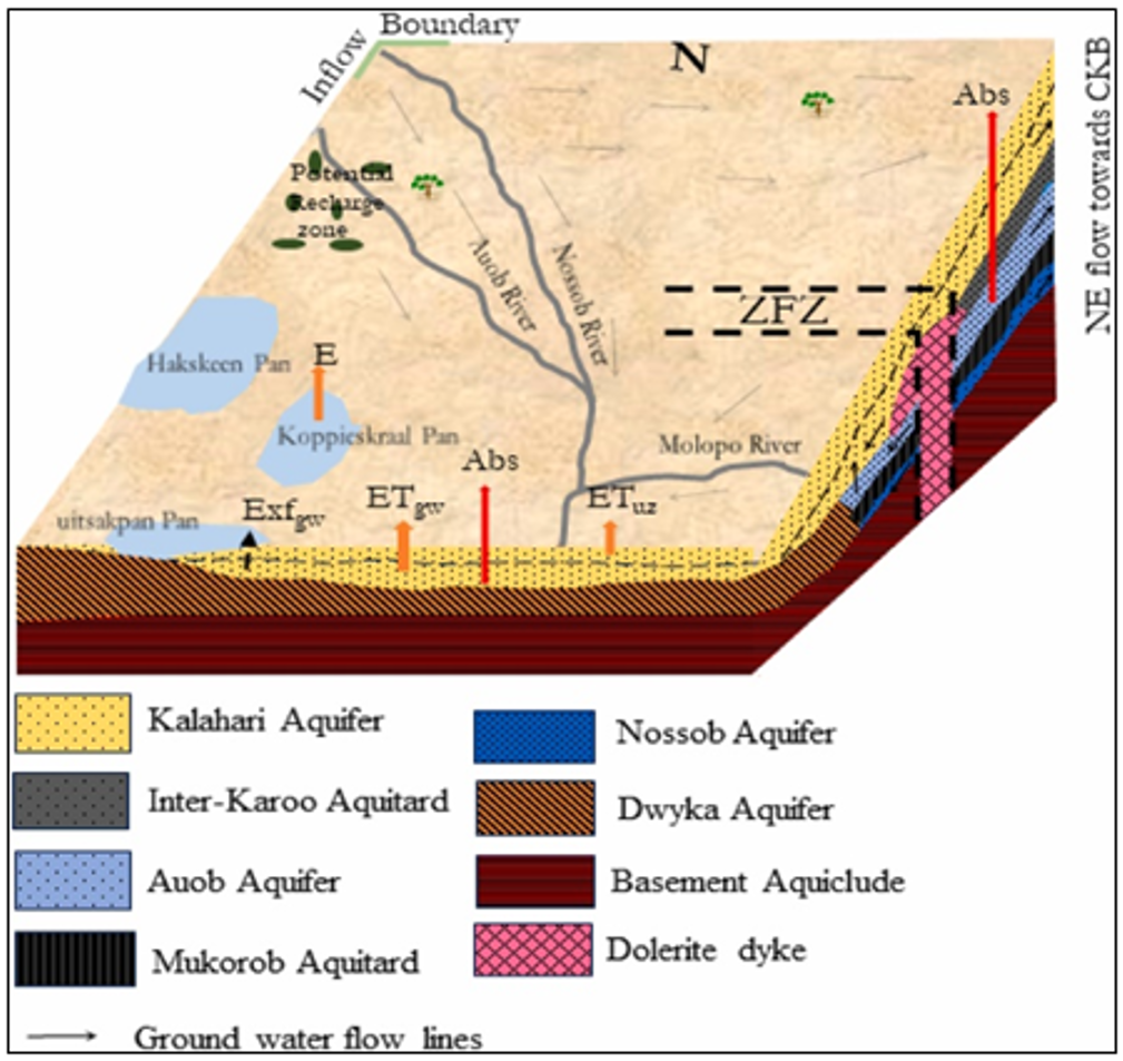 Three-dimensional schematization of the hydrogeological conceptual model showing the geometry, sources and sinks, groundwater flow system and boundary conditions of the study area: Abs – abstraction; ETgw – groundwater evapotranspiration; ETuz – unsaturated zone evapotranspiration; Exfgw – groundwater exfiltration; ZFZ – Zoetfontein Fault Zone