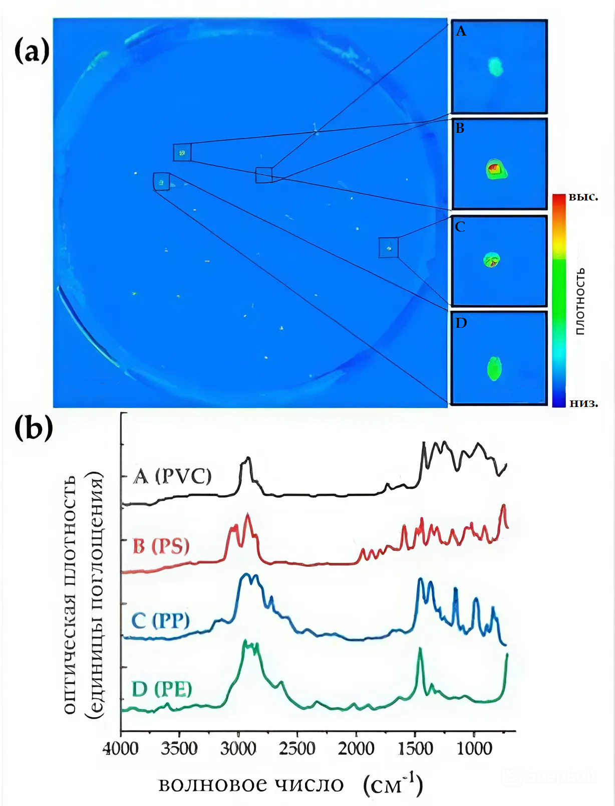 Пример распознавания частиц с помощью микро-ИК картирования: а – изображение полного поглощения в окне спектров (4000– 750 см-1); b – ИК-Фурье спектры выбранных и увеличенных фрагментов микропластика, позволяющие распознавать материалы (PVC, PS, PP, PE)