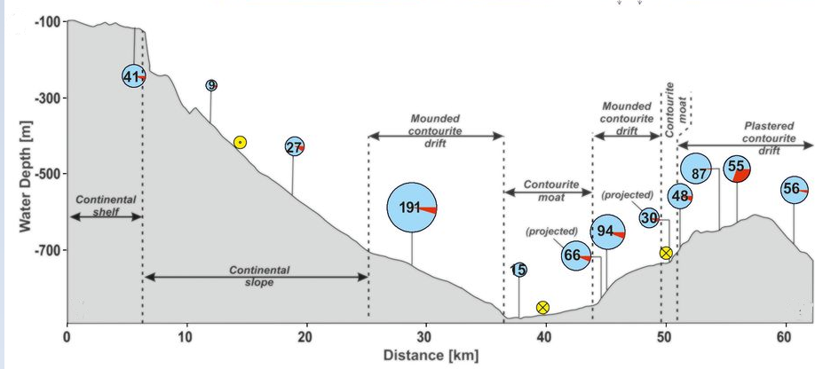 Распределение микропластика по профилю морского дна